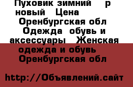 Пуховик зимний,46 р, новый › Цена ­ 1 900 - Оренбургская обл. Одежда, обувь и аксессуары » Женская одежда и обувь   . Оренбургская обл.